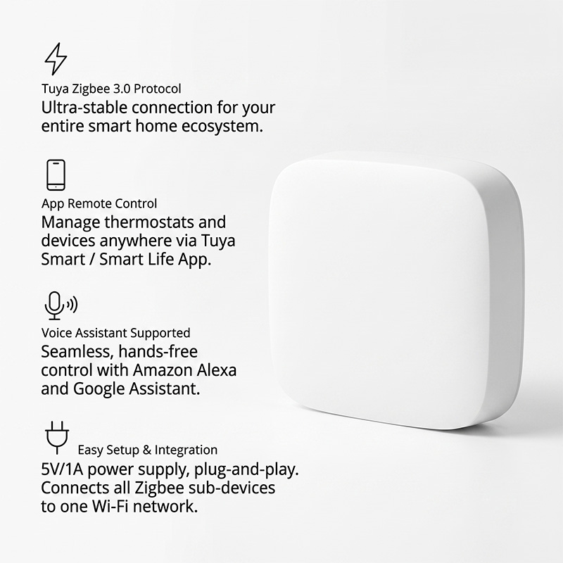WIFI & Zigbee Gateway